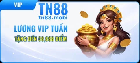 Chương Trình Ưu Đãi Hấp Dẫn Tại TN88 Casino Online Việt Nam