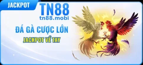 Chương Trình Ưu Đãi Hấp Dẫn Tại TN88 Casino Online Việt Nam